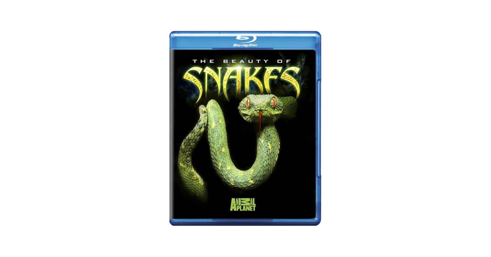 Amazon.com: The Beauty of Snakes [Blu-ray] : Aoife McMahon